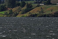 Rowing NewZealand ©